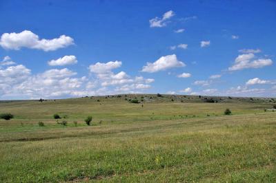 Прикрепленное изображение: IMGP6574.jpg